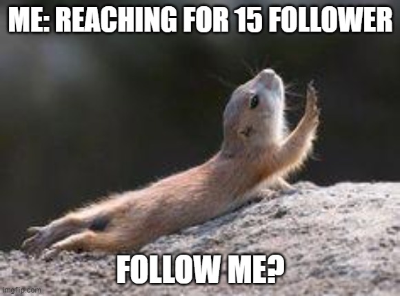 follow? | ME: REACHING FOR 15 FOLLOWER; FOLLOW ME? | image tagged in prairie dog reaching | made w/ Imgflip meme maker