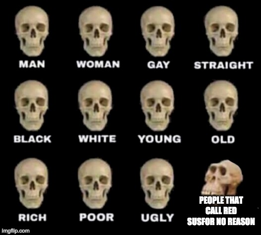 Why does everyone always pick on red? Like why? lol | PEOPLE THAT CALL RED SUSFOR NO REASON | image tagged in idiot skull | made w/ Imgflip meme maker