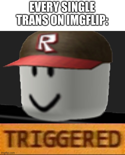 Roblox Triggered | EVERY SINGLE TRANS ON IMGFLIP: | image tagged in roblox triggered | made w/ Imgflip meme maker