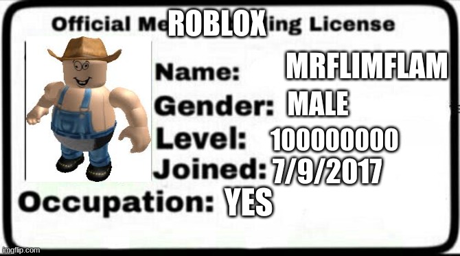 mrflimflam | ROBLOX; MRFLIMFLAM; MALE; 100000000; 7/9/2017; YES | image tagged in meme stealing license | made w/ Imgflip meme maker