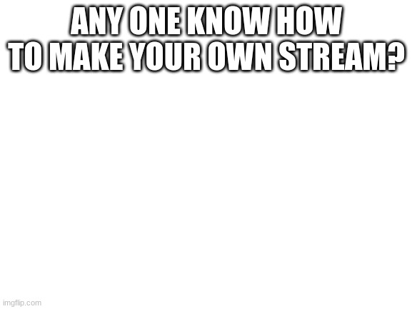 Blank White Template | ANY ONE KNOW HOW TO MAKE YOUR OWN STREAM? | image tagged in blank white template | made w/ Imgflip meme maker