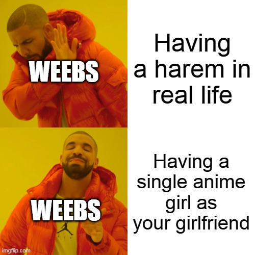 Yes, I'm a weeb | Having a harem in real life; WEEBS; Having a single anime girl as your girlfriend; WEEBS | image tagged in memes,drake hotline bling | made w/ Imgflip meme maker