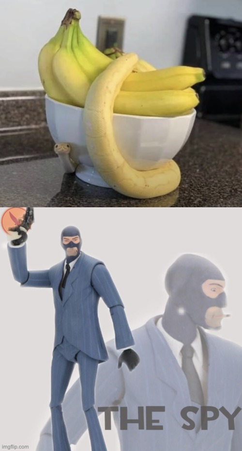 Bananasnek | image tagged in meet the spy | made w/ Imgflip meme maker