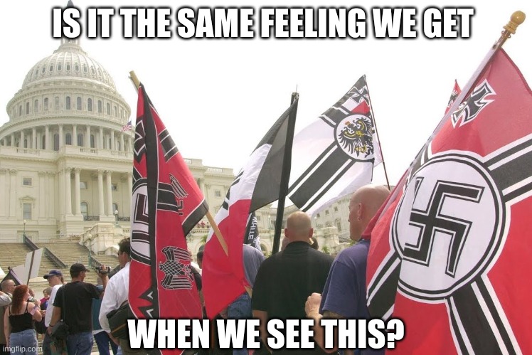 Nazis neo-nazi flags parade Capitol Washington DC | IS IT THE SAME FEELING WE GET WHEN WE SEE THIS? | image tagged in nazis neo-nazi flags parade capitol washington dc | made w/ Imgflip meme maker