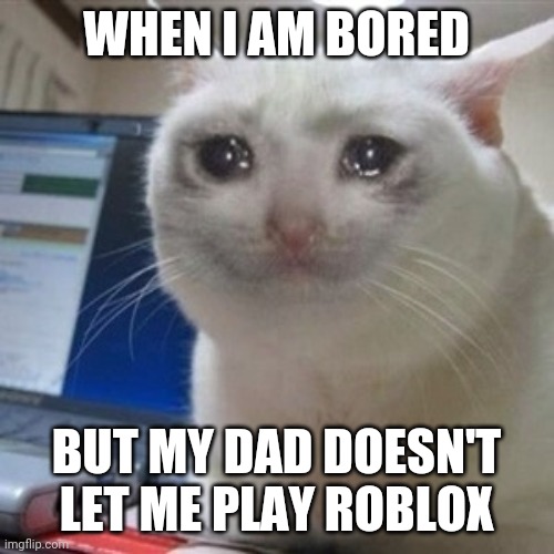 Crying cat | WHEN I AM BORED; BUT MY DAD DOESN'T LET ME PLAY ROBLOX | image tagged in crying cat | made w/ Imgflip meme maker