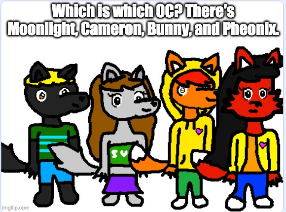 Guess! | Which is which OC? There's Moonlight, Cameron, Bunny, and Pheonix. | made w/ Imgflip meme maker