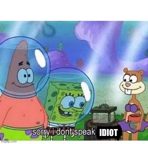 sorry i dont speak wrong | IDIOT | image tagged in sorry i dont speak wrong | made w/ Imgflip meme maker