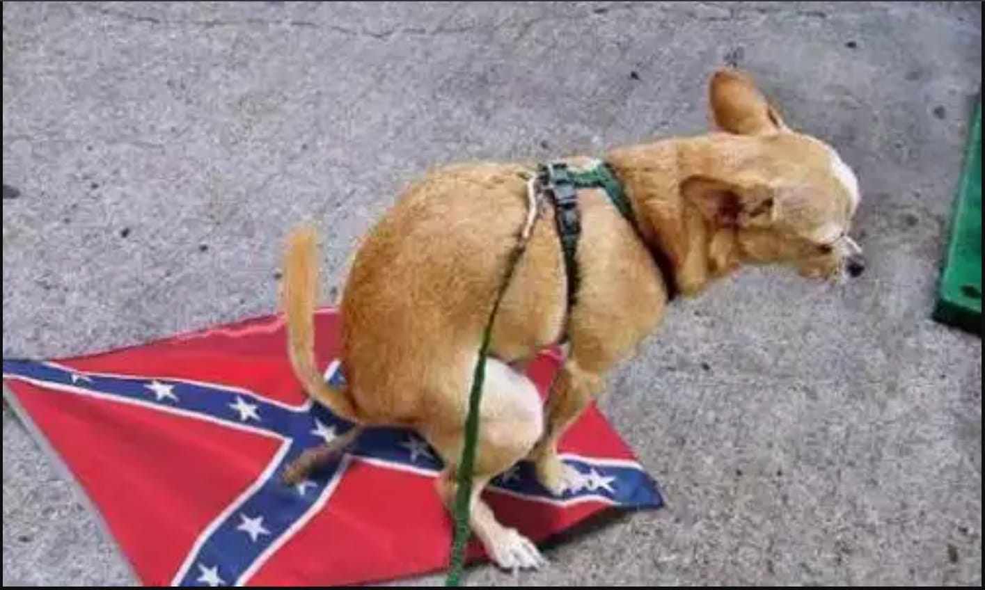 Dog pooping on Confederate Flag Blank Meme Template