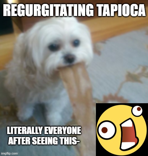 ew | REGURGITATING TAPIOCA; LITERALLY EVERYONE AFTER SEEING THIS- | image tagged in barf | made w/ Imgflip meme maker