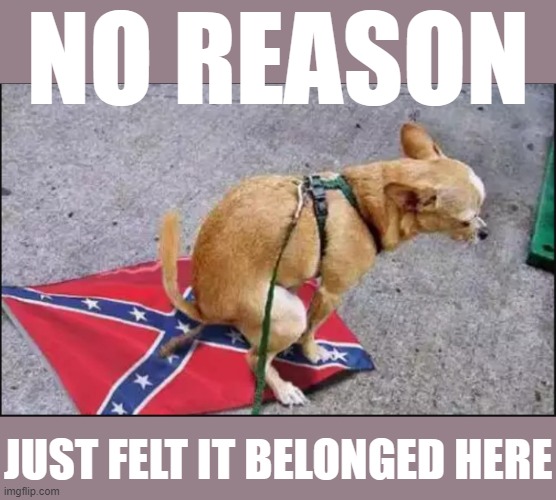 [that's the dog talking, not me] | NO REASON; JUST FELT IT BELONGED HERE | image tagged in dog pooping on confederate flag,pooping,dog poop,confederate flag | made w/ Imgflip meme maker