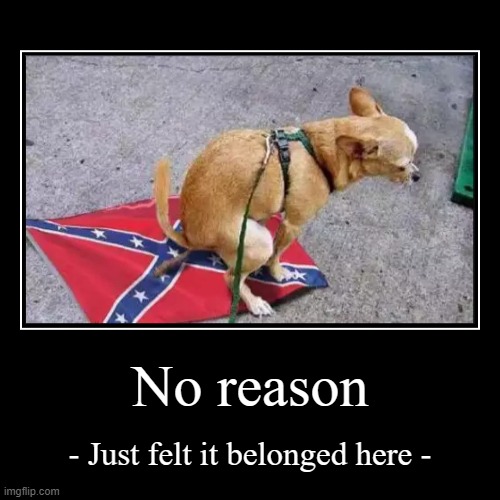 [that's the dog talking, not me] | image tagged in funny,demotivationals,confederate flag | made w/ Imgflip demotivational maker