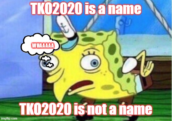 Mocking Spongebob | TKO2020 is a name; WHAAAAA; TKO2020 is not a name | image tagged in memes,mocking spongebob | made w/ Imgflip meme maker