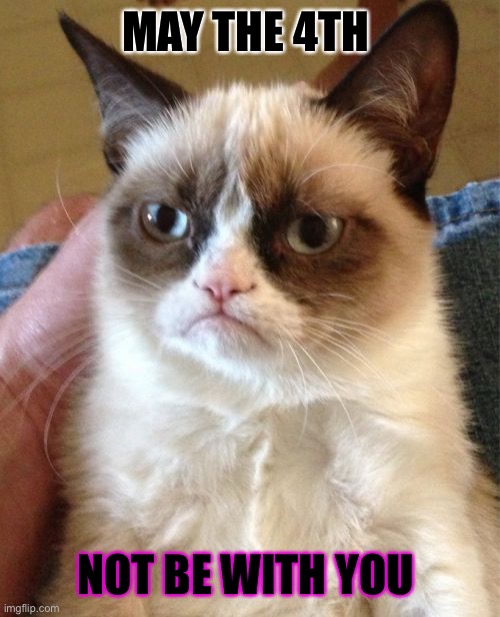 Grumpy Cat | MAY THE 4TH; NOT BE WITH YOU | image tagged in memes,grumpy cat | made w/ Imgflip meme maker