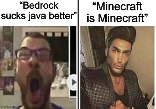 average fan vs average enjoyer | “Bedrock sucks java better”; “Minecraft is Minecraft” | image tagged in average fan vs average enjoyer | made w/ Imgflip meme maker