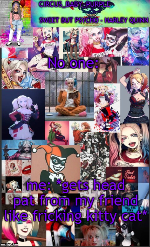 Harley Quinn temp bc why not | No one:; me: *gets head pat from my friend like fricking kitty cat* | image tagged in harley quinn temp bc why not | made w/ Imgflip meme maker