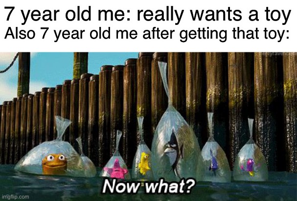 Now What? | 7 year old me: really wants a toy; Also 7 year old me after getting that toy: | image tagged in now what | made w/ Imgflip meme maker
