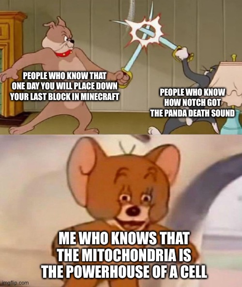 Big brain time | PEOPLE WHO KNOW THAT ONE DAY YOU WILL PLACE DOWN YOUR LAST BLOCK IN MINECRAFT; PEOPLE WHO KNOW HOW NOTCH GOT THE PANDA DEATH SOUND; ME WHO KNOWS THAT THE MITOCHONDRIA IS THE POWERHOUSE OF A CELL | image tagged in tom and jerry swordfight | made w/ Imgflip meme maker