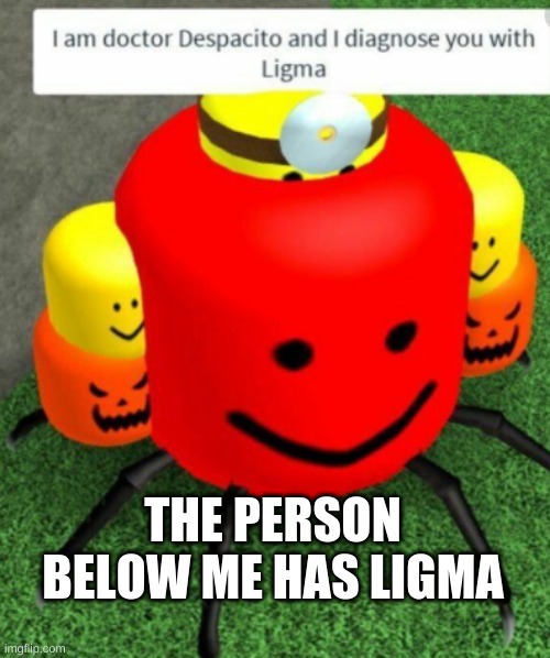u hav ligma | THE PERSON BELOW ME HAS LIGMA | image tagged in ligma | made w/ Imgflip meme maker
