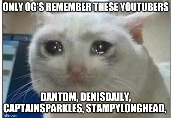 crying cat | ONLY OG'S REMEMBER THESE YOUTUBERS; DANTDM, DENISDAILY, CAPTAINSPARKLES, STAMPYLONGHEAD, | image tagged in crying cat | made w/ Imgflip meme maker