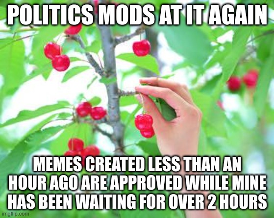 Delaying a meme causes it to appear pages into the "New" filtered stream | POLITICS MODS AT IT AGAIN; MEMES CREATED LESS THAN AN HOUR AGO ARE APPROVED WHILE MINE HAS BEEN WAITING FOR OVER 2 HOURS | image tagged in cherry picking | made w/ Imgflip meme maker