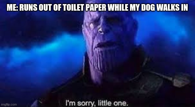 Thanos is Sorry | ME: RUNS OUT OF TOILET PAPER WHILE MY DOG WALKS IN | image tagged in funny,memes,thanos,im sorry little one | made w/ Imgflip meme maker