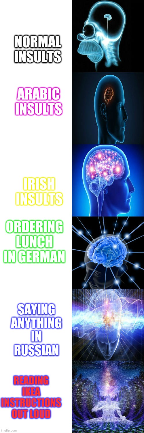 Rated Insults | NORMAL INSULTS; ARABIC INSULTS; IRISH INSULTS; ORDERING LUNCH IN GERMAN; SAYING ANYTHING IN RUSSIAN; READING IKEA INSTRUCTIONS OUT LOUD | image tagged in expanding brain | made w/ Imgflip meme maker