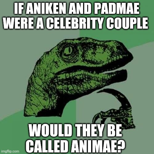 May the...uh...today. | IF ANIKEN AND PADMAE WERE A CELEBRITY COUPLE; WOULD THEY BE CALLED ANIMAE? | image tagged in memes,philosoraptor | made w/ Imgflip meme maker