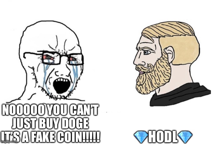 Soyboy Vs Yes Chad | 💎HODL💎; NOOOOO YOU CAN’T JUST BUY DOGE IT’S A FAKE COIN!!!!! | image tagged in soyboy vs yes chad,dogecoin | made w/ Imgflip meme maker