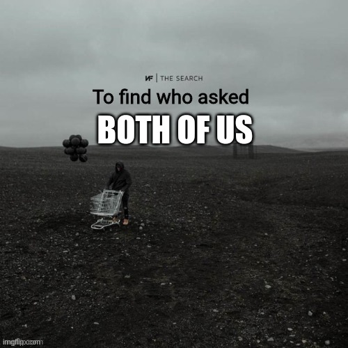 THE SEARCH To find who asked | BOTH OF US | image tagged in the search to find who asked | made w/ Imgflip meme maker