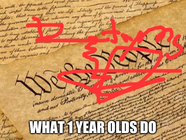what 1 year old babies  do on a constitution | WHAT 1 YEAR OLDS DO | image tagged in constitution,draw,mad | made w/ Imgflip meme maker