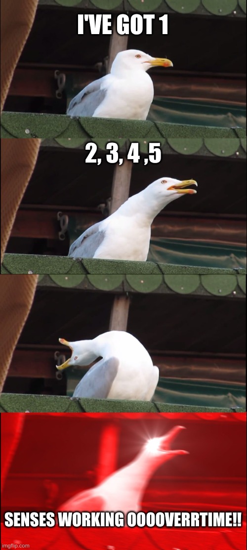 TRYING TO TASTE THE DIFFERENCE 'TWEEN A LEMON AND A LIME | I'VE GOT 1; 2, 3, 4 ,5; SENSES WORKING OOOOVERRTIME!! | image tagged in memes,inhaling seagull,xtc,music,80s music | made w/ Imgflip meme maker