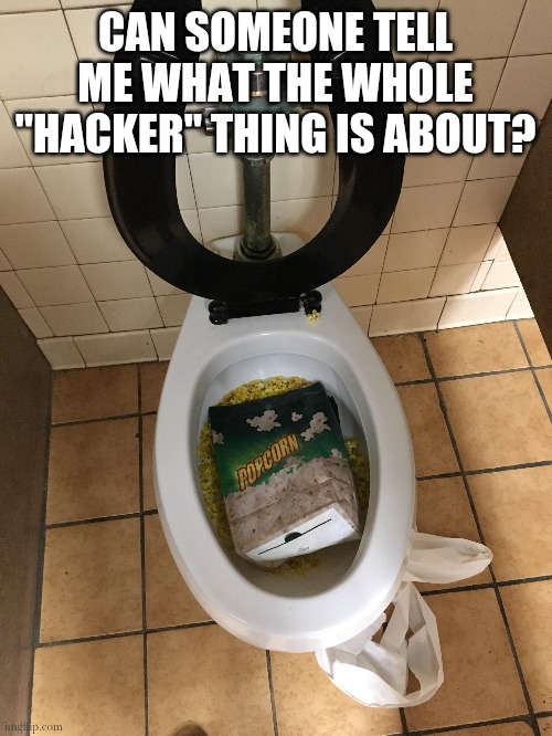 CAN SOMEONE TELL ME WHAT THE WHOLE "HACKER" THING IS ABOUT? | made w/ Imgflip meme maker
