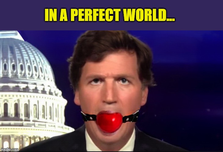 Oh the Insanity! | IN A PERFECT WORLD... | image tagged in confused tucker carlson,tucker carlson,fox news,propaganda,idiot | made w/ Imgflip meme maker