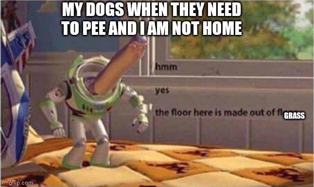 hmm yes the floor here is made out of floor | MY DOGS WHEN THEY NEED TO PEE AND I AM NOT HOME; GRASS | image tagged in hmm yes the floor here is made out of floor | made w/ Imgflip meme maker