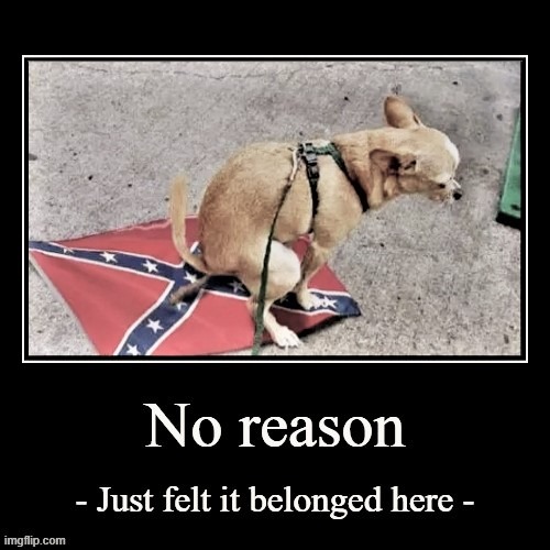[that's the dog talking, not me] | image tagged in dog pooping on confederate flag,confederate flag,chihuahua | made w/ Imgflip meme maker