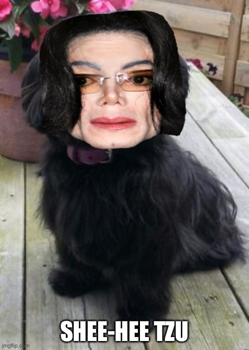 Haha... | SHEE-HEE TZU | made w/ Imgflip meme maker