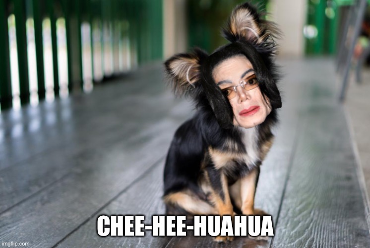 Still not funny to me. | CHEE-HEE-HUAHUA | image tagged in lol | made w/ Imgflip meme maker