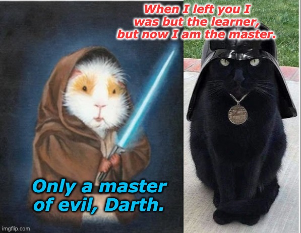 Guinea-wan Kenobi vs. Cat Vader | When I left you I was but the learner, but now I am the master. Only a master of evil, Darth. | image tagged in star wars,holidays,guinea pig,story,movies | made w/ Imgflip meme maker