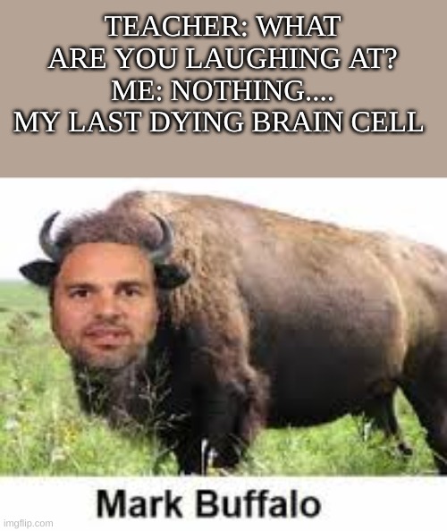 Yes. Mark Buffalo | TEACHER: WHAT ARE YOU LAUGHING AT?
ME: NOTHING....
MY LAST DYING BRAIN CELL | image tagged in mark buffalo,teacher what are you laughing at,meme,funny | made w/ Imgflip meme maker