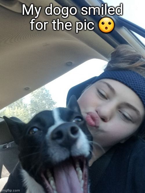 My dogo smiled for the pic 😮 | made w/ Imgflip meme maker