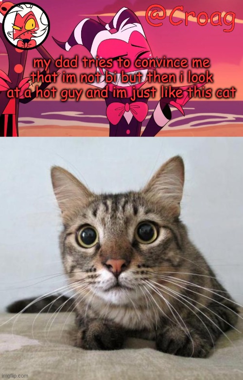 my dad tries to convince me that im not bi but then i look at a hot guy and im just like this cat | image tagged in croag's moxxie template | made w/ Imgflip meme maker