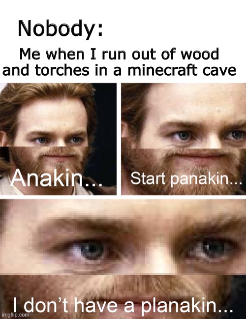 start panakin |  Nobody:; Me when I run out of wood and torches in a minecraft cave | image tagged in blank white template,anakin start panakin,anakin skywalker,memes,funny,not really a gif | made w/ Imgflip meme maker