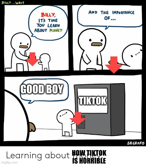Billy Learning About Money | GOOD BOY; TIKTOK; HOW TIKTOK IS HORRIBLE | image tagged in billy learning about money | made w/ Imgflip meme maker