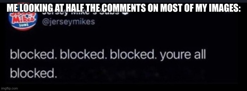 ME LOOKING AT HALF THE COMMENTS ON MOST OF MY IMAGES: | made w/ Imgflip meme maker