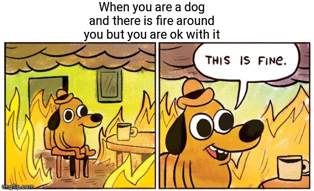I call this is Anti-meme! | When you are a dog and there is fire around you but you are ok with it | image tagged in memes,this is fine | made w/ Imgflip meme maker