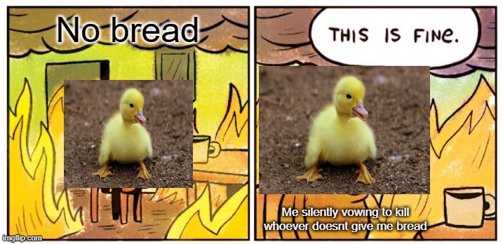 This Is Fine Meme | No bread; Me silently vowing to kill whoever doesnt give me bread | image tagged in memes,this is fine | made w/ Imgflip meme maker