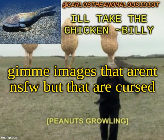 like cursed images of beans or sumthin | gimme images that arent nsfw but that are cursed | image tagged in growling peanut temp | made w/ Imgflip meme maker