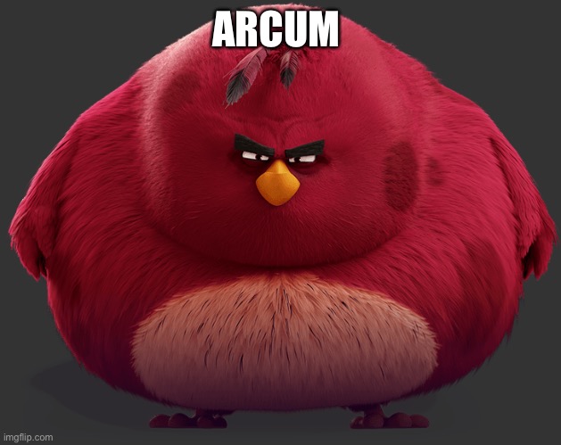 ARCUM | made w/ Imgflip meme maker