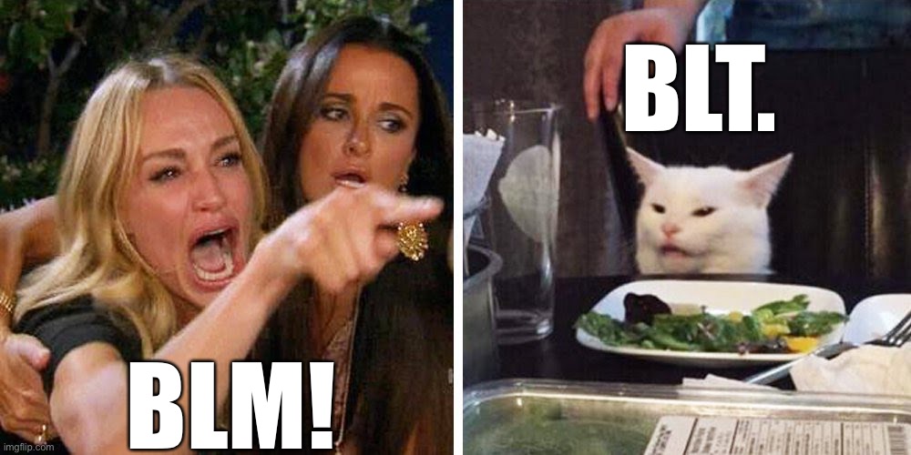 BLM | BLT. BLM! | image tagged in smudge the cat,blm | made w/ Imgflip meme maker
