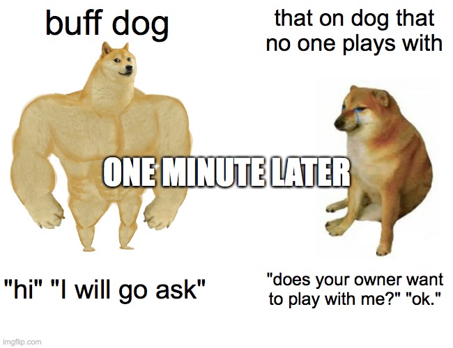 buff dog that on dog that no one plays with "hi" "I will go ask" "does your owner want to play with me?" "ok." ONE MINUTE LATER | image tagged in memes,buff doge vs cheems | made w/ Imgflip meme maker